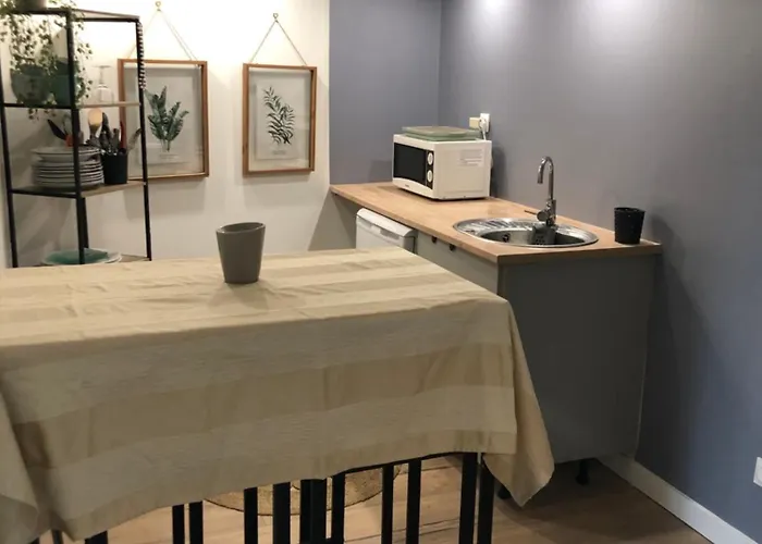 La Maison De Paul Appartement *